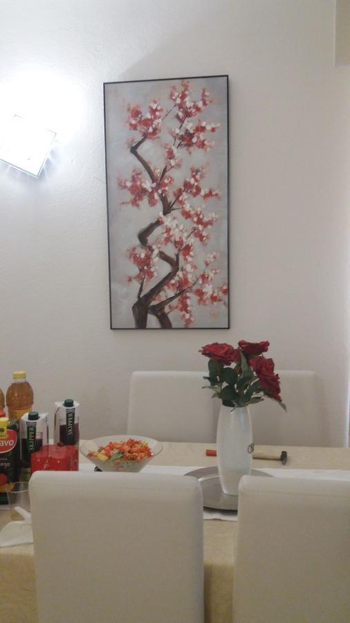 Appartamento Casa Ilaria Arzachena Zewnętrze zdjęcie